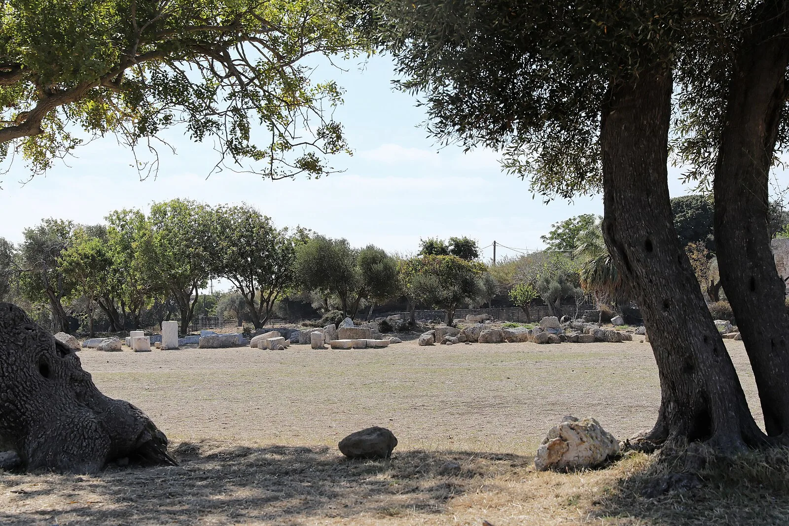 Acropolis of Rhodes